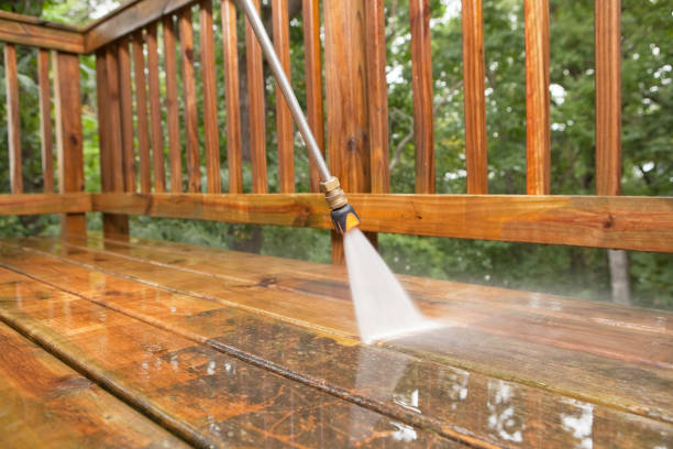 Best Roof Pressure Washing  in Hotchkiss, CO